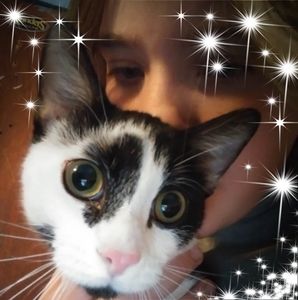 Meet your Posher, Ashia